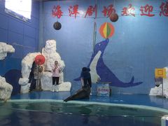 -左海海底世界