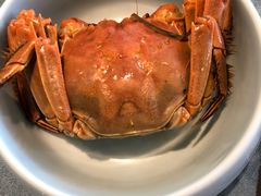 -一麦·龙岛(上海青浦店)
