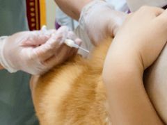 -宠爱国际动物医院· 猫科· 外科·中兽医(长白店)