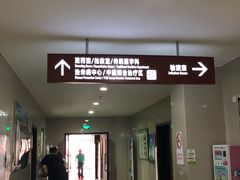 -上海市杨浦区中医医院