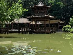 -铁山坪森林公园