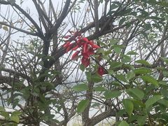 -风云岭森林公园