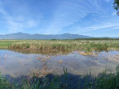 -野鸭湖国家湿地公园
