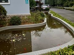 -白玉兰商务酒店(曲阜三孔景区春秋西路店)