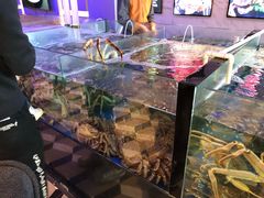 -蟹之国·精品蟹料理(极地店)