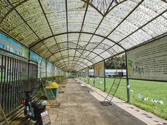 -草根堂农场