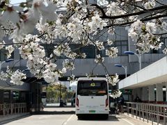 -南浦大桥长途旅游客运站