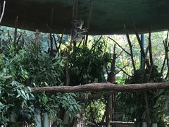 -可伦宾野生动物保护区