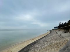 -北海金海湾红树林生态旅游区