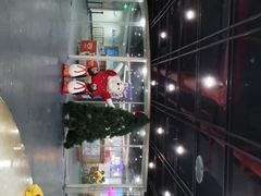 -世界之窗阿尔卑斯冰雪世界