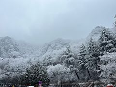 -秦岭终南山世界地质公园翠华山景区