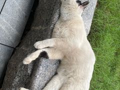 -陆家嘴世纪金融广场