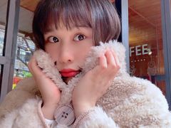 -No Cat 手碟