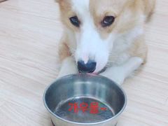 -韩通韩国语学院(虹口校区)