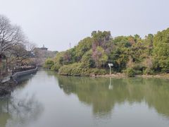 -八大山人梅湖景区