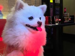 -音乐派KTV(银泰城店)