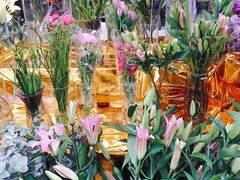 -桂林市花鸟市场