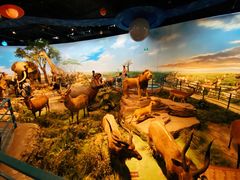 -陕西自然博物馆