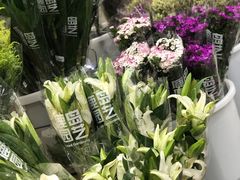 -鹿岛会员店 (龙湖三千集天街店)