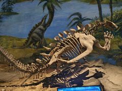 -自贡恐龙博物馆