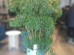 -Home Cafe(水榭春天店)