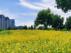 -长白岛森林公园