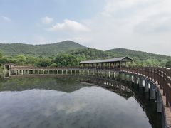 -石塘人家