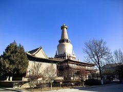 -张掖大佛寺景区