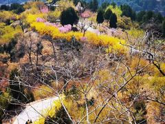 -北京西山国家森林公园