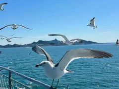-海驴岛(荣成市)