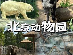 -北京动物园