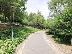 -莫子山公园