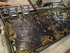 -海鲜e族(马王堆店)