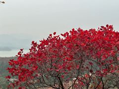 -北京十三陵国家森林公园蟒山景区