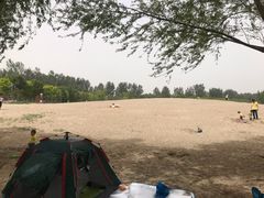 -东郊湿地公园