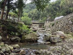 -MOJ coffee(瓯海泽雅水碓坑店)