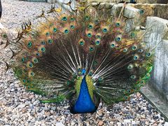 -南京金牛湖风景区