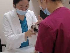 -芭比堂动物医院·24小时·眼科中心(深圳中心)