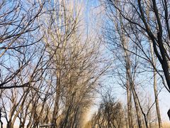-东郊湿地公园