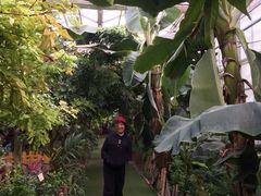 -呀路古热带植物园