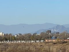 -永定河休闲森林公园