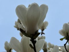 -北京奥林匹克公园