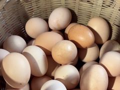 -马陆小张葡萄园农家乐