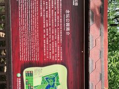 -大兴滨河森林公园