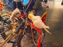 -和平菓局(王府井店)