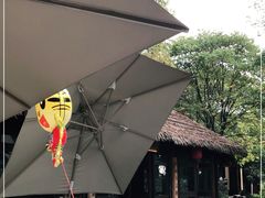 -铭莲·八卦田水上餐厅