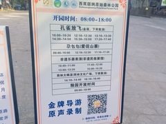 -西双版纳原始森林公园