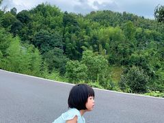 -大围山国家森林公园