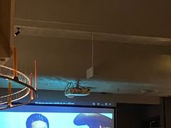 -BAR Signal·鸡尾酒酒吧