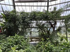 -华南国家植物园-售票处